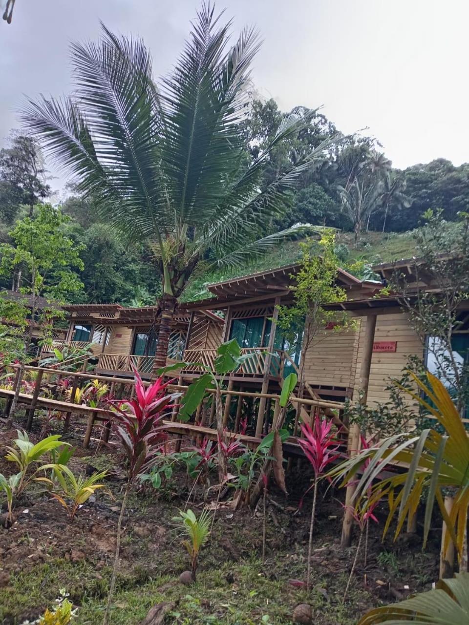 Pacific Nuqui Lodge Eksteriør bilde